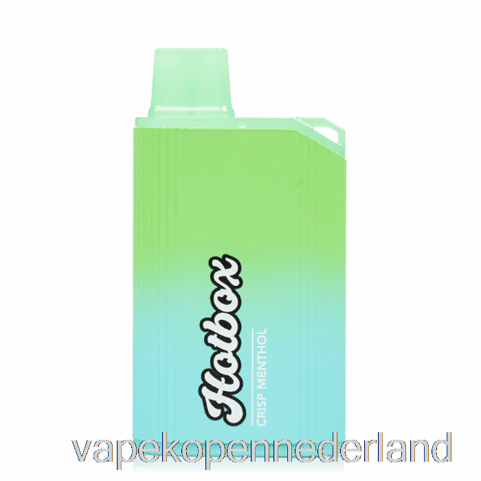 Vape Nederland Puff Merken Hotbox 7500 Wegwerp Frisse Menthol